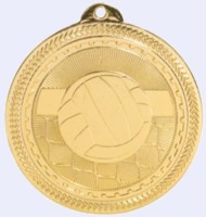 2 in. BriteVolleyball Medal